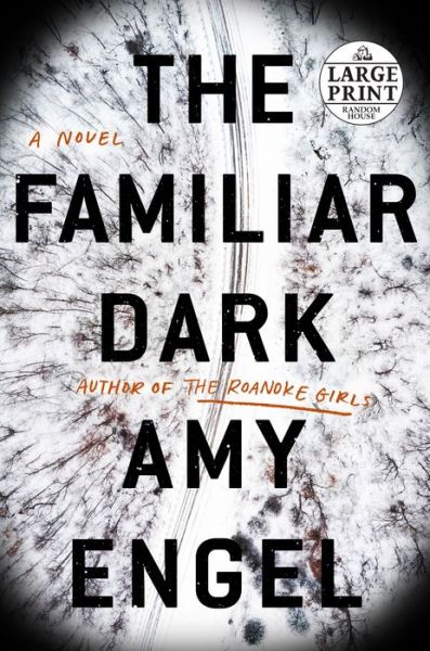 Cover for Amy Engel · The Familiar Dark: A Novel (Paperback Book) (2020)