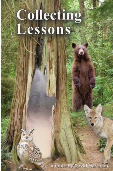 Cover for David Hartman · Collecting Lessons: a Fable (Paperback Book) (2015)