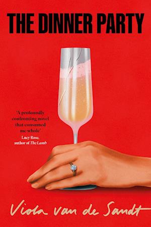Cover for Viola van de Sandt · The Dinner Party (Taschenbuch) (2025)