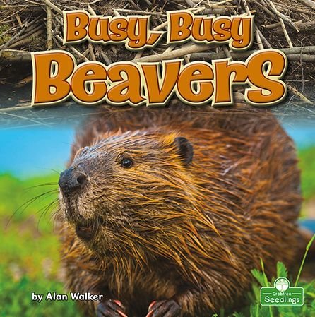 Cover for Alan Walker · Busy, Busy Beavers (Paperback Bog) (2022)