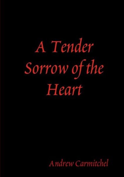 Cover for Andrew Carmitchel · A Tender Sorrow of the Heart (Paperback Bog) (2017)
