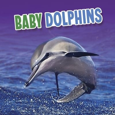 Cover for Martha E. H. Rustad · Baby Dolphins - Baby Animals (Hardcover bog) (2022)