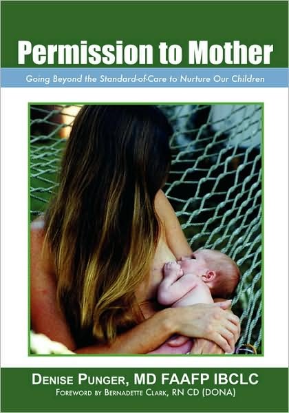 Permission to Mother: Going Beyond the Standard-Of-Care to Nurture Our Children - Denise Punger MD Faafp Ibclc - Kirjat - Outskirts Press - 9781432703851 - tiistai 29. tammikuuta 2008