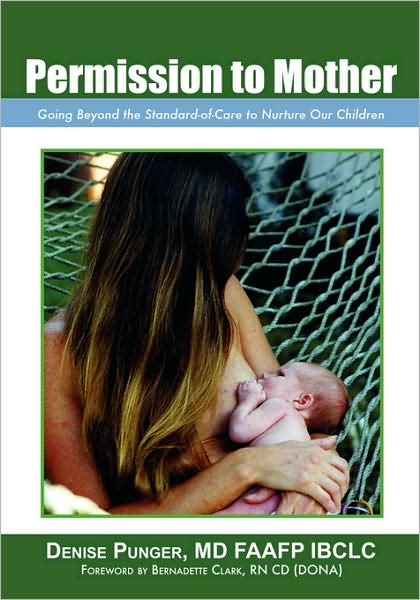 Cover for Denise Punger MD Faafp Ibclc · Permission to Mother: Going Beyond the Standard-Of-Care to Nurture Our Children (Pocketbok) (2008)