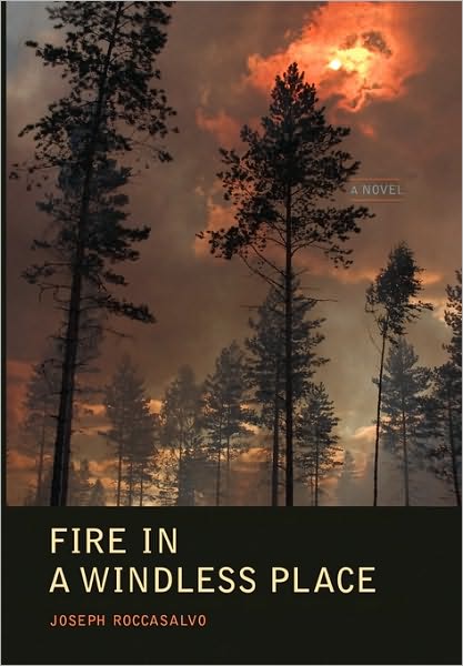 Fire in a Windless Place - Joseph Roccasalvo - Books - Xlibris Corporation - 9781441556851 - July 13, 2010