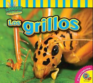 Cover for John Willis · Los Grillos / Crickets (Insectos Fascinantes (Fascinating Insects)) (Book) [English And Spanish edition] (2017)