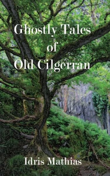 Ghostly Tales of Old Cilgerran - Idris Mathias - Bøger - CreateSpace Independent Publishing Platf - 9781500774851 - 18. august 2014