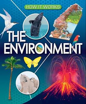 Cover for Michael Allaby · Environment (Book) (2024)