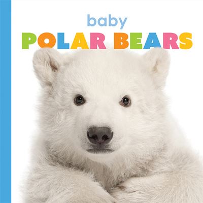 Baby Polar Bears - Kate Riggs - Książki - Creative Company, The - 9781628328851 - 20 października 2020