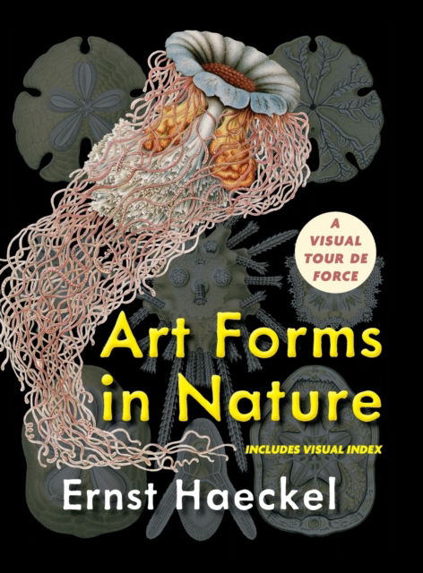 Cover for Ernst Haeckel · Art Forms in Nature (Dover Pictorial Archive) (Hardcover Book) (2022)