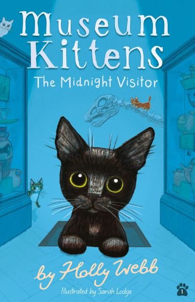 Cover for Holly Webb · The Midnight Visitor - Museum Kittens (Taschenbuch) (2021)