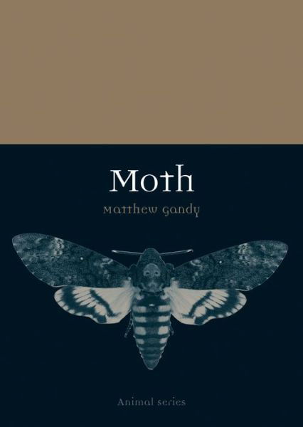 Moth - Animal - Matthew Gandy - Books - Reaktion Books - 9781780235851 - May 1, 2016