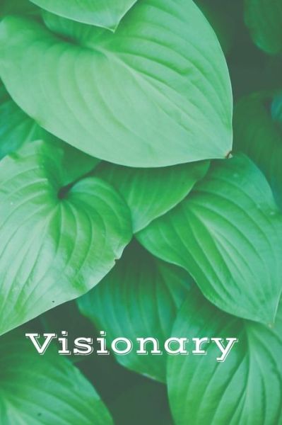 Cover for Weird Journals · Visionary (Paperback Book) (2019)