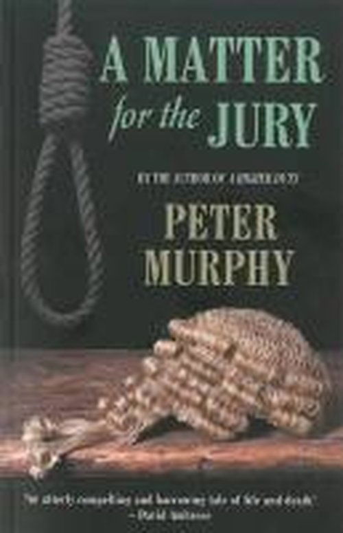 A Matter for the Jury - Peter Murphy - Książki - Bedford Square Publishers - 9781843442851 - 23 lipca 2014