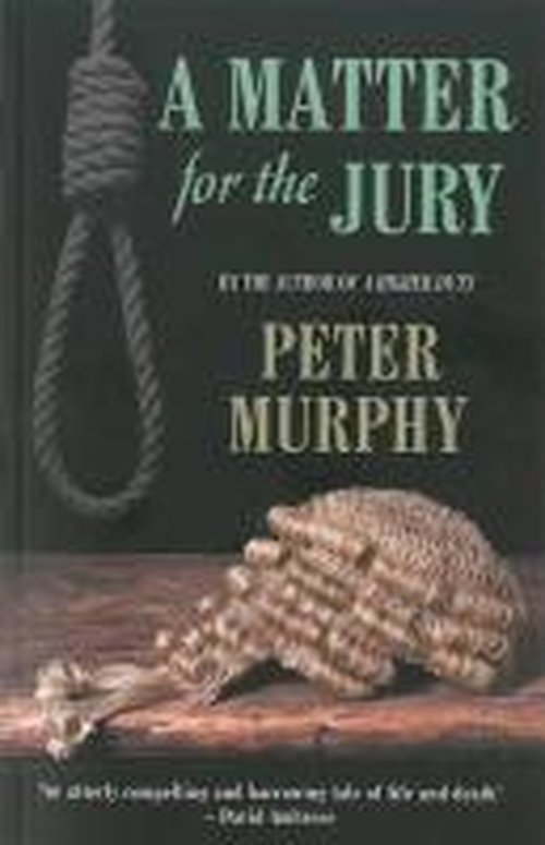 A Matter for the Jury - Peter Murphy - Kirjat - Bedford Square Publishers - 9781843442851 - keskiviikko 23. heinäkuuta 2014