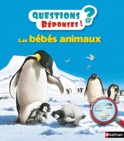 Cover for Virginie Aladjidi · Questions reponses: Les bebes animaux (Hardcover Book) (2014)