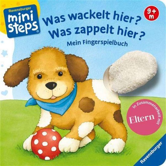 Cover for Sandra Grimm · Was wackelt hier? Was zappelt hier? (Toys)