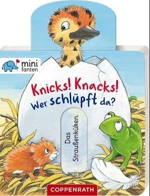 Cover for Antje Flad · Minifanten 35: Knicks! Knacks! Wer Schlüpft Da? (Board book) (2022)