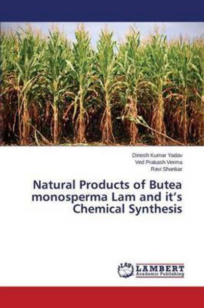 Cover for Yadav Dinesh Kumar · Natural Products of Butea Monosperma Lam and It's Chemical Synthesis (Paperback Bog) (2015)