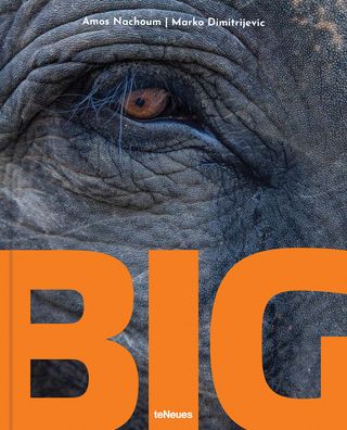 Cover for Marko Dimitrijevic · Big: A Photographic Album of the World's Largest Animals (Hardcover Book) (2022)