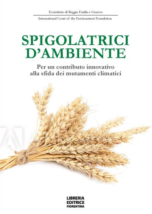 Cover for Aa.vv · Spigolatrici D'ambiente. Per Un Contributo Innovativo Alla Sfida Dei Mutamenti Climatici (Bok)