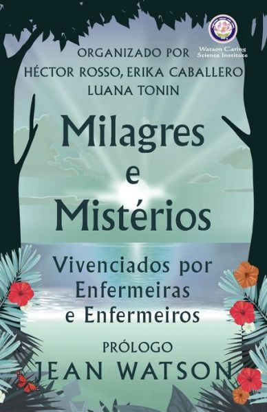 Cover for Hector Rosso · Milagres e Misterios Vivenciados por Enfermeiras e Enfermeiros (Paperback Book) [Large type / large print edition] (2022)