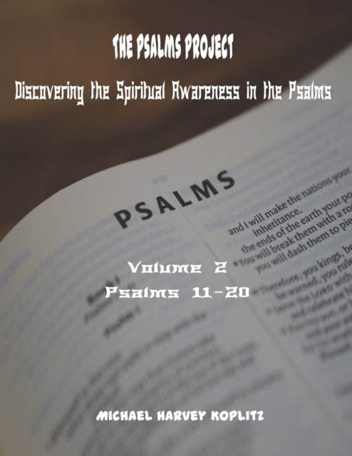 Cover for Michael Harvey Koplitz · The Psalms Project Volume Two: Discovering the Spiritual World through the Psalms - Psalm 11 to 20 - The Psalms Project - The Spiritual Awareness in the Psalms (Paperback Bog) (2021)