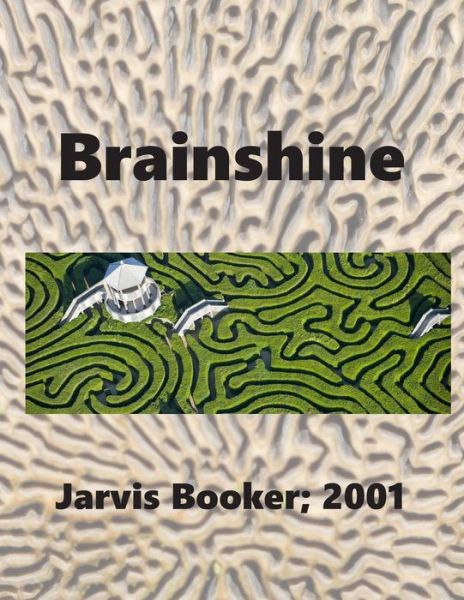 Cover for Jarvis Booker · Brainshine (Paperback Book) (2020)