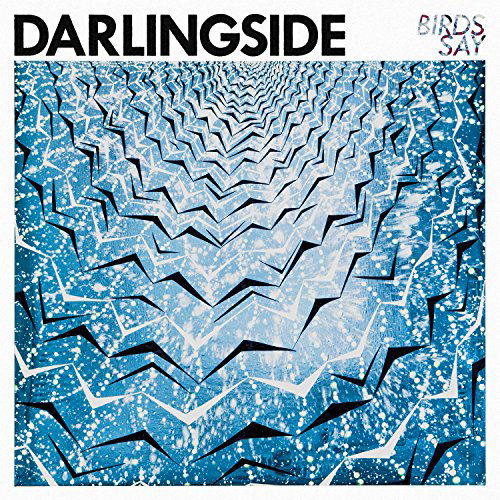 Cover for Darlingside · Birds Say (LP) (2016)