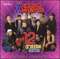 Cover for Chicos De Barrio · 12 Grandes Exitos 2-Chicos De Barrio (CD) [Limited edition] (2007)