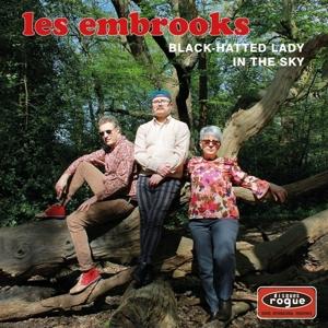 Cover for Embrooks · Black-Hatted Woman/In The Sky (LP) (2022)