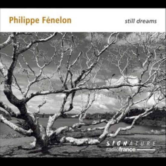 Philippe Fenelon: Still Dreams - Quatuor Diotima / Florent Jodelet / Didier Benetti / Emmanuel Curt / Gilles Ranticelli / Maryvonne Le Dizes / Joelle Leandre / Florent Boffard / Sylvie Beltrando - Muzyka - SIGNATURE - 3415820000852 - 23 sierpnia 2024