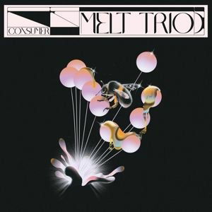 Cover for Melt Trio · Consumer (LP) (2022)