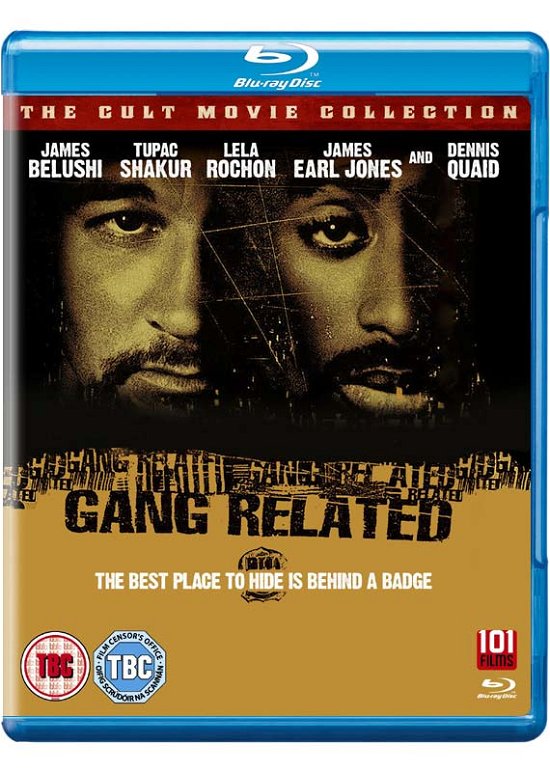 Cover for Gang Related (Blu-ray) (2015)