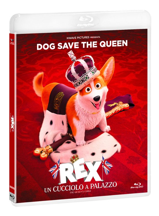 Cover for Rex · Rex - Un Cucciolo a Palazzo (Blu-ray) (2019)