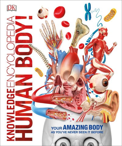 Cover for Dk · Knowledge Encyclopedia Human Body! - DK Knowledge Encyclopedias (Hardcover bog) (2017)
