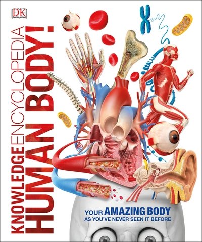 Cover for Dk · Knowledge Encyclopedia Human Body! - DK Knowledge Encyclopedias (Hardcover Book) (2017)