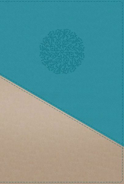 Cover for N/a · NIV, Personal Size Bible, Large Print, Leathersoft, Teal / Gold, Red Letter, Thumb Indexed, Comfort Print (Imitation Leather Bo) (2021)