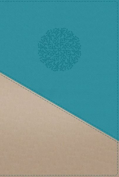 Cover for N/a · NIV, Personal Size Bible, Large Print, Leathersoft, Teal / Gold, Red Letter, Thumb Indexed, Comfort Print (Imiteret Læderbog) (2021)