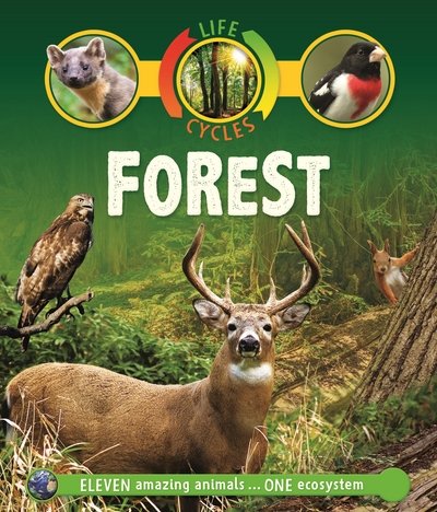 Life Cycles: Forest - Life Cycles - Sean Callery - Bøger - Pan Macmillan - 9780753442852 - 26. juli 2018
