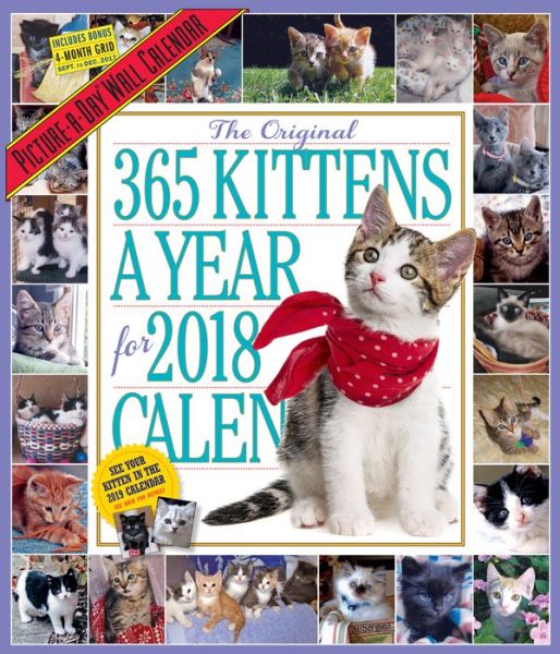 Cover for Workman Publishing · 365 Kittens-A-Year Picture-A-Day Wall Calendar 2018 (Paperback Book) (2017)