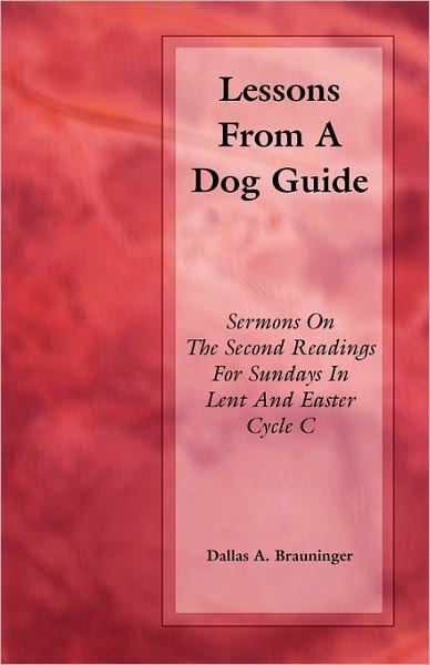 Cover for Dallas A Brauninger · Lessons from a Dog Guide (Pocketbok) (2003)