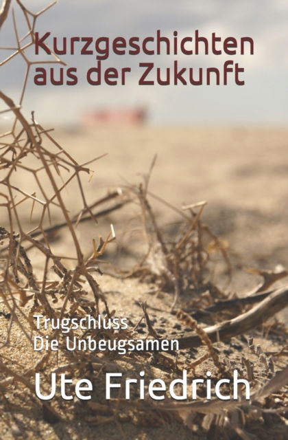 Cover for Ute Friedrich · Kurzgeschichten aus der Zukunft: Trugschluss Die Unbeugsamen (Paperback Book) (2019)