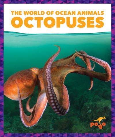 Cover for Bizzy Harris · Octopuses (Hardcover Book) (2022)