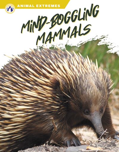 Cover for Libby Wilson · Mind-Boggling Mammals (Book) (2023)