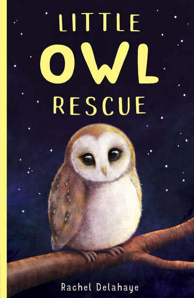 Cover for Rachel Delahaye · Little Owl Rescue - Little Animal Rescue (Taschenbuch) (2020)