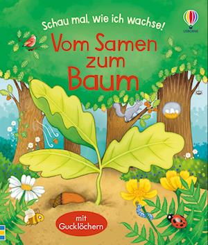 Cover for Lesley Sims · Schau mal, wie ich wachse! Vom Samen zum Baum (Bog) (2022)