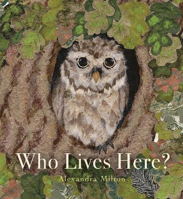 Cover for Alexandra Milton · Who Lives Here? (Paperback Book) [UK edition] (2025)