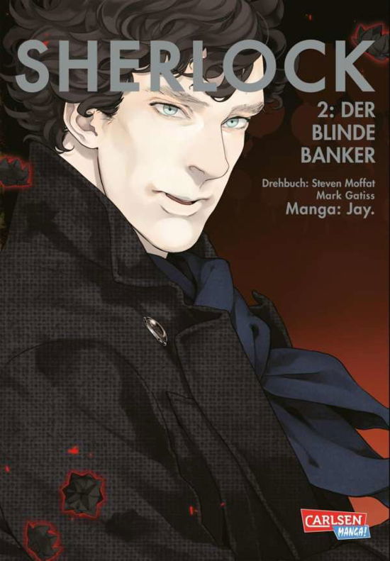 Cover for Jay · Sherlock 2 (Bog)
