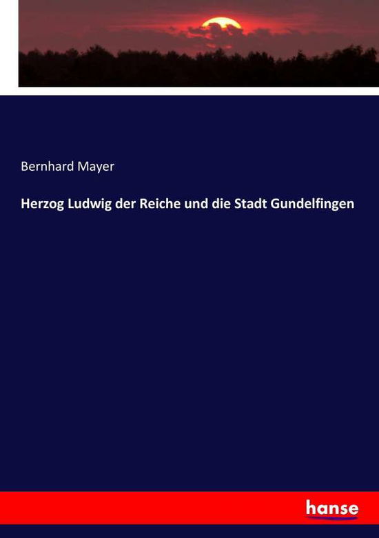 Cover for Mayer · Herzog Ludwig der Reiche und die (Bog) (2017)